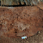 Cueva de la Victoria - Perfil de las excavaciones de J. Forcea 1972